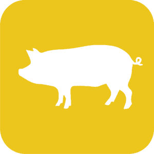 ไอคอน รั้วล้อมหมูของรั้วตาข่ายถักปม รุ่นสูง 90 ซม.