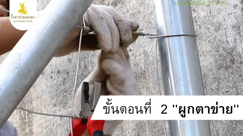 2.การติดตั้งรั้ว ตาข่ายเทวดา ขั้นตอนที่ 2 ผูกตาข่าย คลี่ตาข่ายไปตามแนวเสา