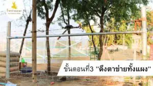 3.การติดตั้งรั้ว ตาข่ายเทวดา ขั้นตอนที่ 3 ดึงตาข่ายทั้งเเผง ให้ตึง