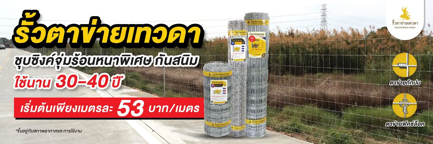 รั้วตาข่ายถักปม รั้วเทวดา ทนสนิมนาน 30-40 ปี เริ่มต้น 53 บาท/เมตร
