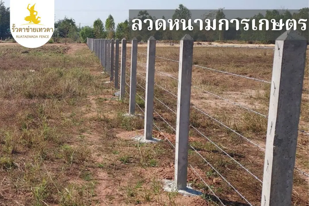 ลวดหนามล้อมการเกษตร
