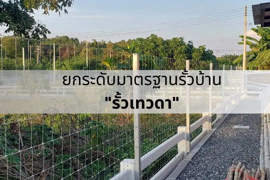 ยกระดับมาตรฐานรั้วบ้าน รั้วเทวดา
