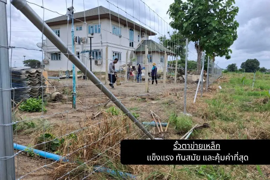 รั้วตาข่ายเหล็ก แข็งแรง ทันสมัย และคุ้มค่าที่สุด