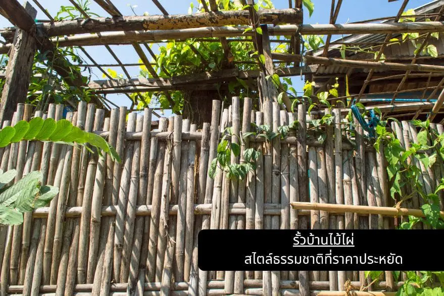 รั้วบ้านไม้ไผ่ สไตล์ธรรมชาติที่ราคาประหยัด
