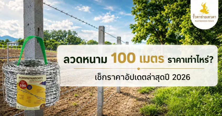 ลวดหนาม 100 เมตร ราคาเท่าไหร่? เช็กราคาอัปเดตล่าสุดปี 2026