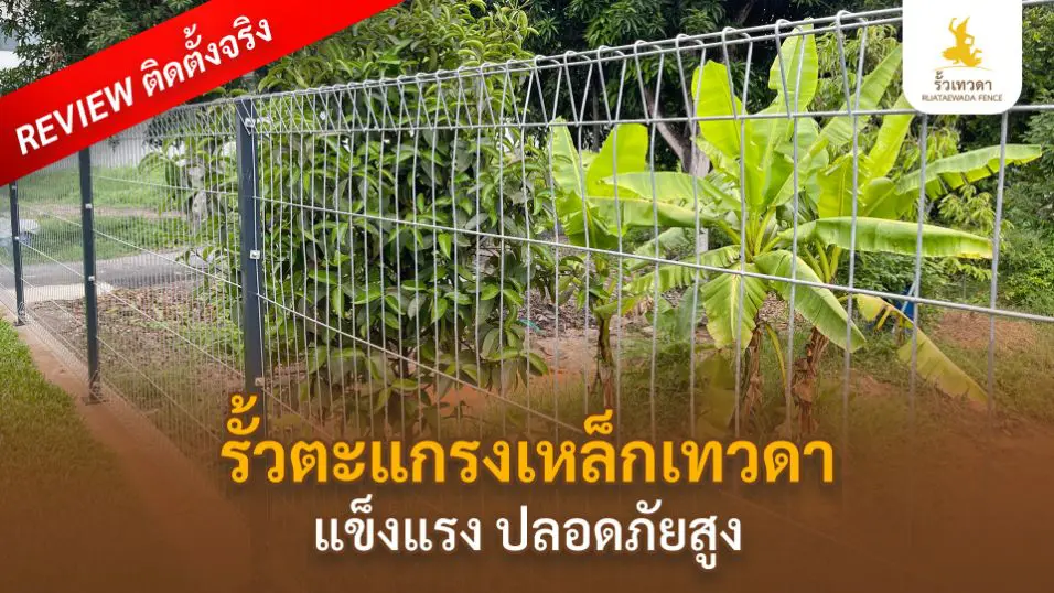 เทวดา-Webหน้ารั้วตะแกรงเหล็ก-Reviewแข็งแรง-Desktop-Mobile-05-01-69