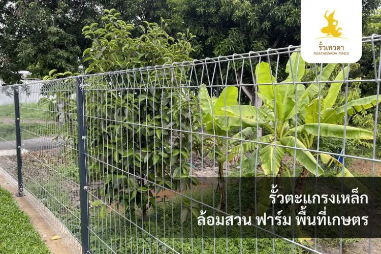 เทวดา-Webหน้ารั้วตะแกรงเหล็ก-ภาพหน้างานจริง-Desktop-Mobile-05-01-69-02