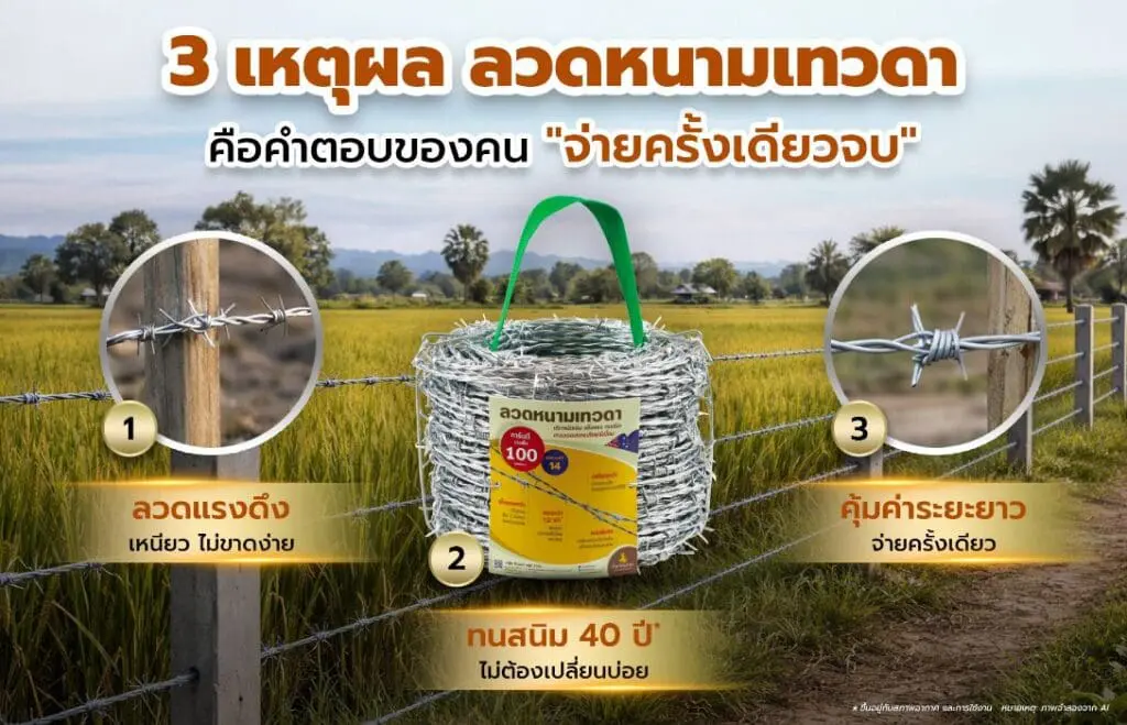 3 เหตุผลที่ ลวดหนามเทวดา คือคำตอบของคนอยาก จ่ายครั้งเดียวจบ