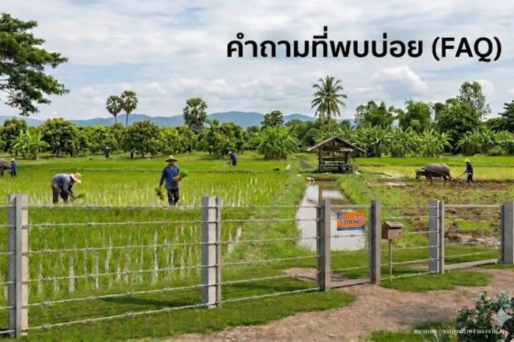 คำถามที่พบบ่อย (FAQ)