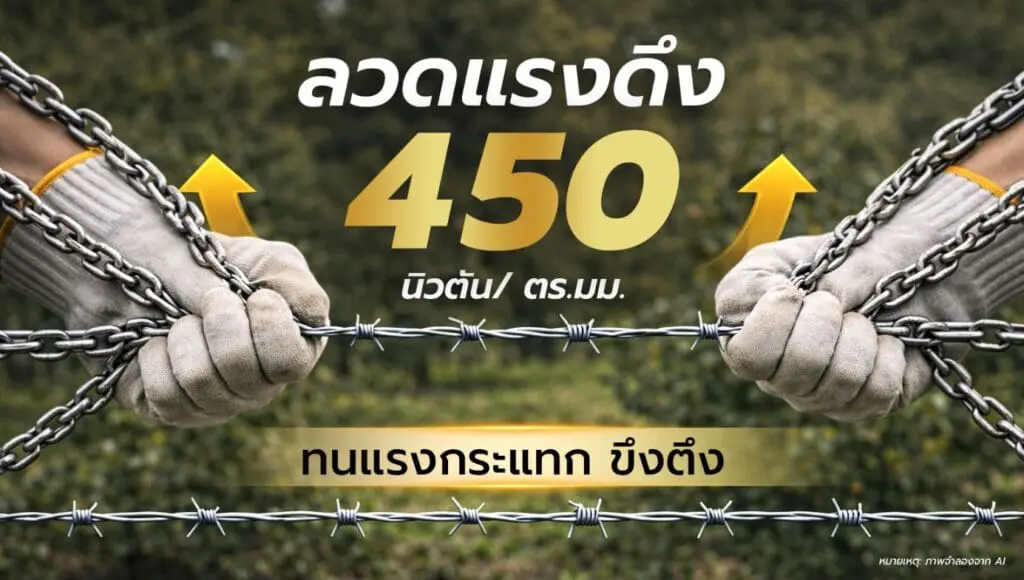 ลวดแรงดึง 450 นิวตัน ทนแรงกระแทก