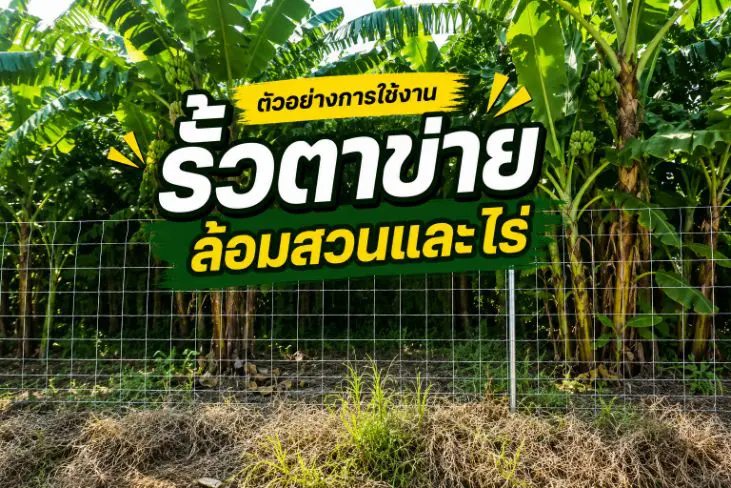 ตัวอย่างการใช้งาน รั้วตาข่ายใช้ล้อมสวนและไร่