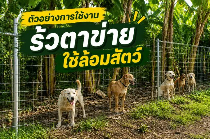 ตัวอย่างการใช้งาน รั้วตาข่ายใช้ล้อมสัตว์