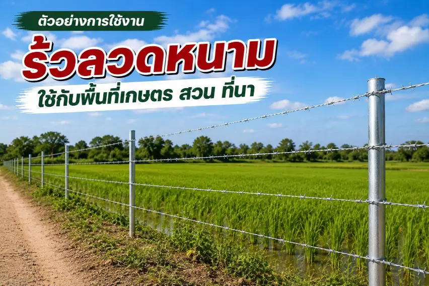 ตัวอย่างการใช้งาน รั้วลวดหนาม พื้นที่เกษตร สวน ที่นา