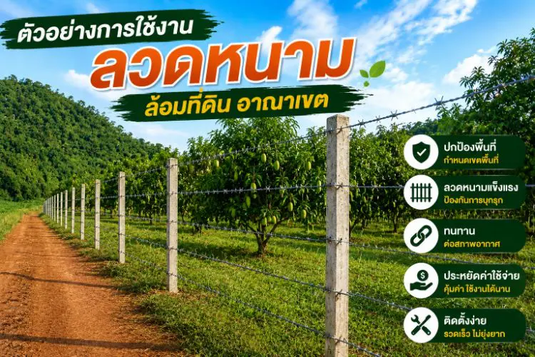 ตัวอย่างการใช้งานจริง รั้วลวดหนาม ล้อมที่ดิน อาณาเขต