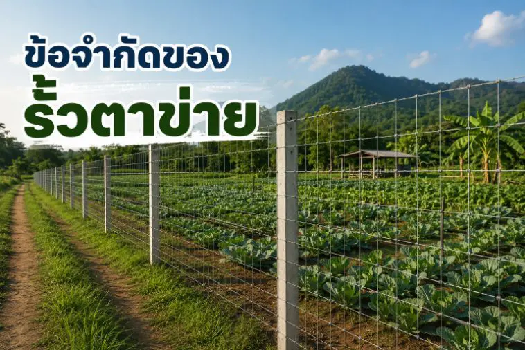 ข้อจำกัดของรั้วตาข่าย