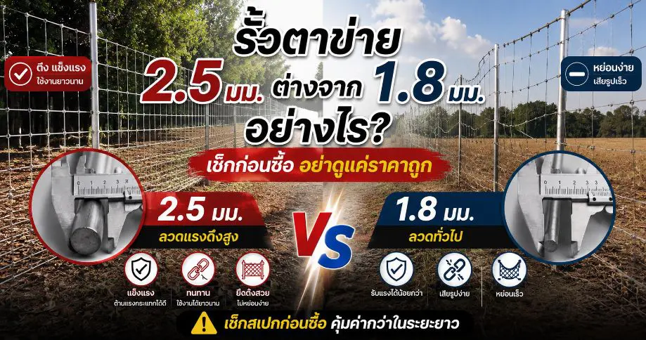 รั้วตาข่ายเทวดา 2.5 มม. ต่างจากลวด 1.8 มม. อย่างไร? เช็กสเปกก่อนตัดสินใจซื้อ