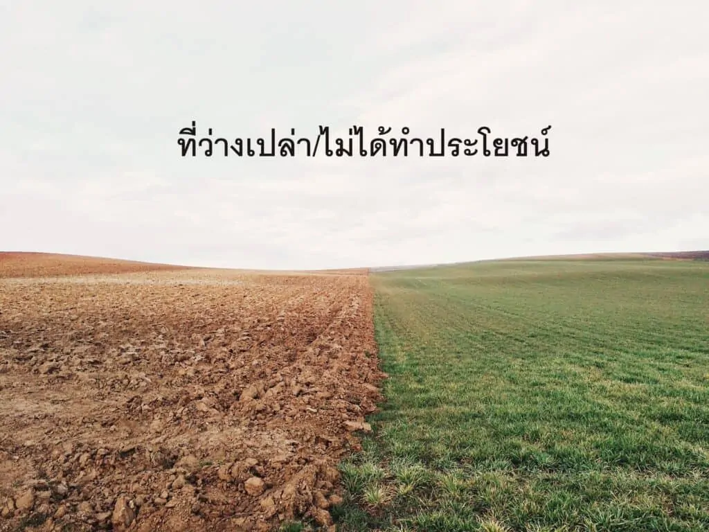 ที่ดินว่างเปล่า