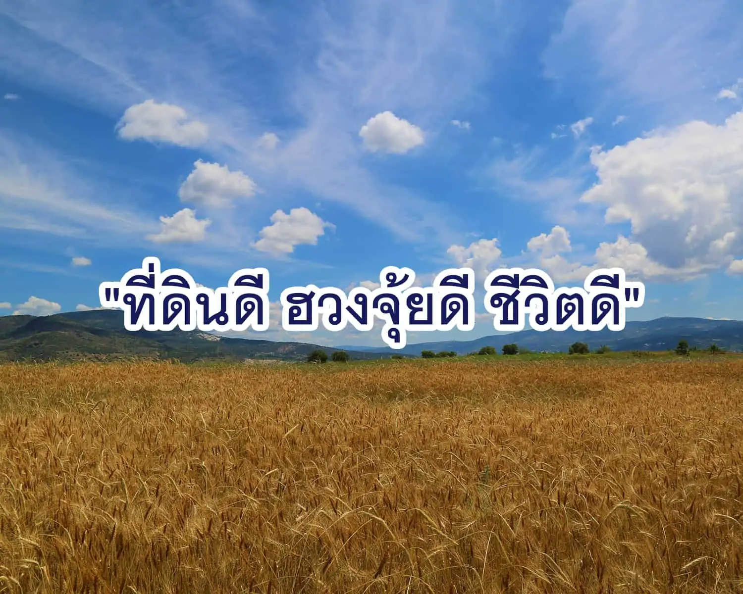 Read more about the article เคล็ดลับซื้อที่ดิน ปังแน่! เลือกซื้อที่ดินตามหลักฮวงจุ้ย ปี 2024