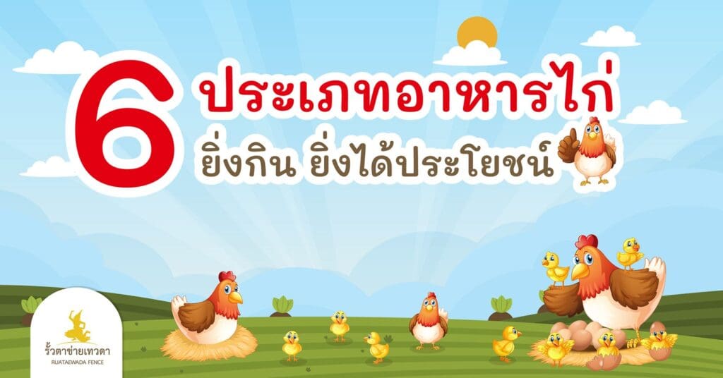 ประเภทอาหารไก่