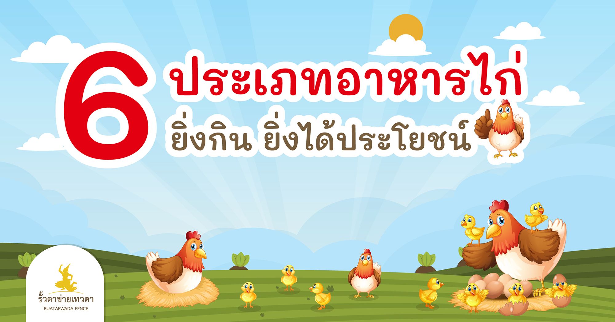 Read more about the article 6 ประเภทอาหารไก่ ได้ประโยชน์