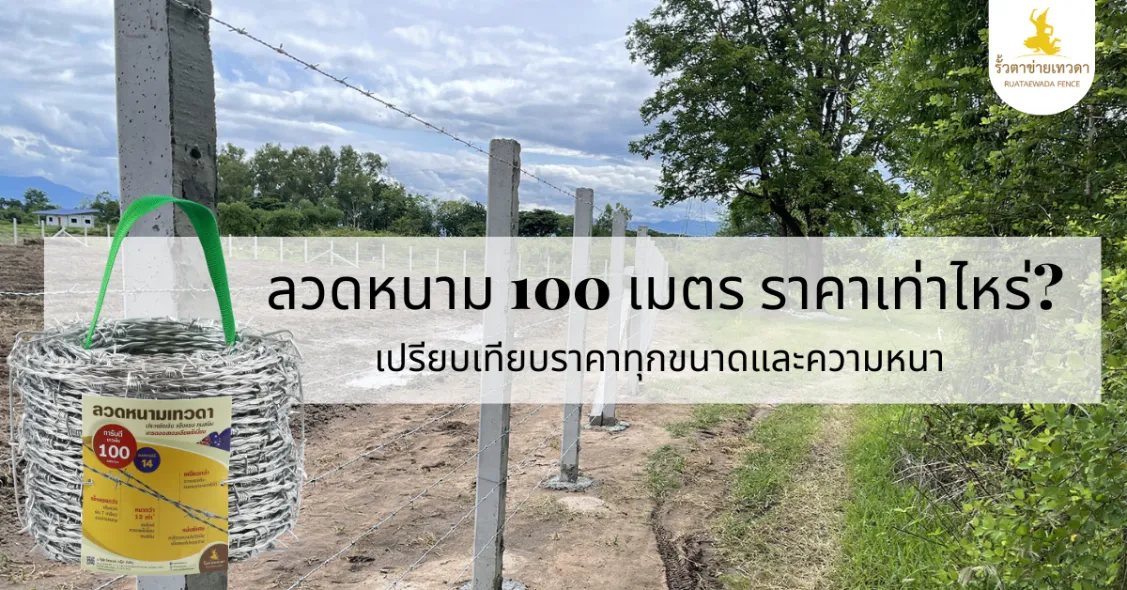 Read more about the article ลวดหนาม 100 เมตร ราคาเท่าไหร่? เปรียบเทียบราคาทุกขนาดและความหนา