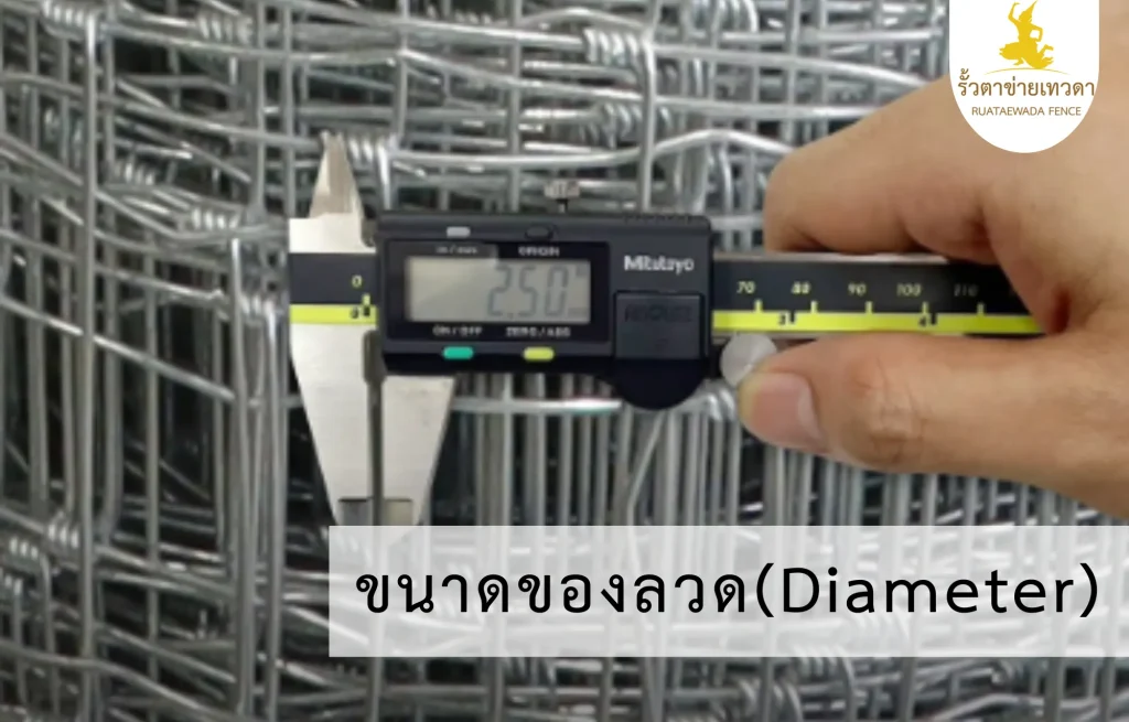 การวัดขนาดลวดด้วยเวอร์เนียร์ แสดงเส้นผ่านศูนย์กลางของลวดที่มีผลโดยตรงต่อรั้วตาข่ายถักปม ราคา