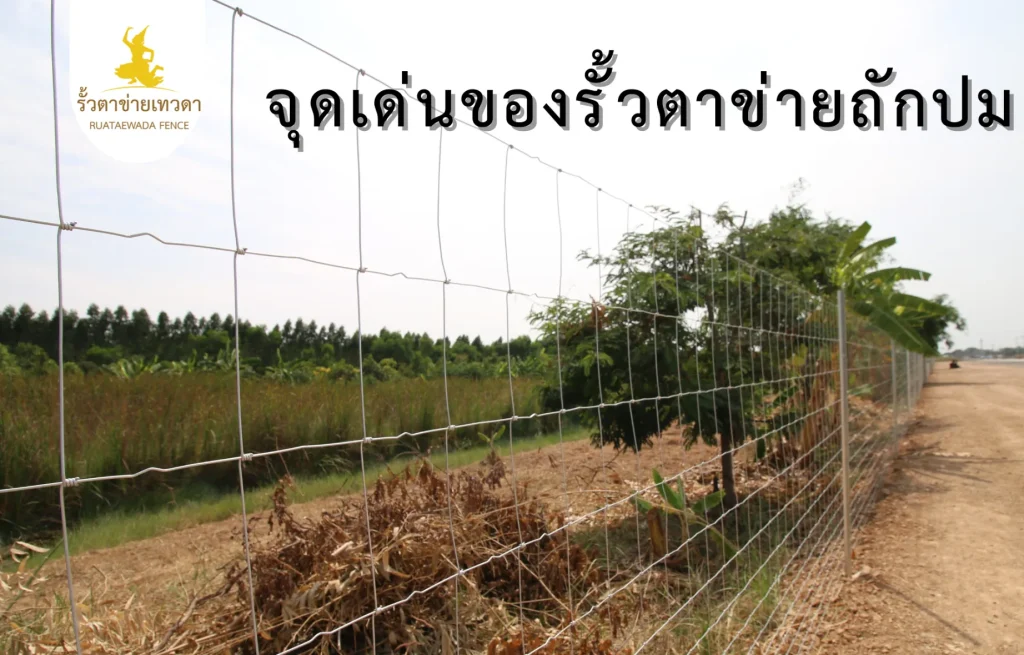ตัวอย่างการติดตั้งรั้วตาข่ายถักปม ติดตั้งล้อมพื้นที่เกษตร โชว์ความแข็งแรง เหมาะสำหรับใช้งานจริง พร้อมเน้นความคุ้มค่าต่อราคา