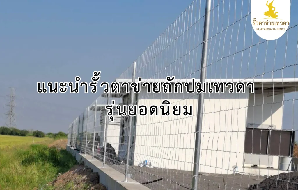 ตัวอย่างรั้วตาข่ายถักปมรุ่นยอดนิยมจากรั้วตาข่ายเทวดา ใช้งานจริงในพื้นที่กว้าง เหมาะกับการเปรียบเทียบราคาและคุณภาพ