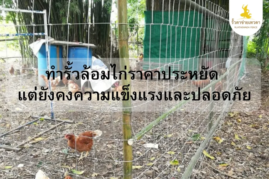 รั้วล้อมไก่ราคาประหยัด แต่ยังคงความแข็งแรงและปลอดภัย