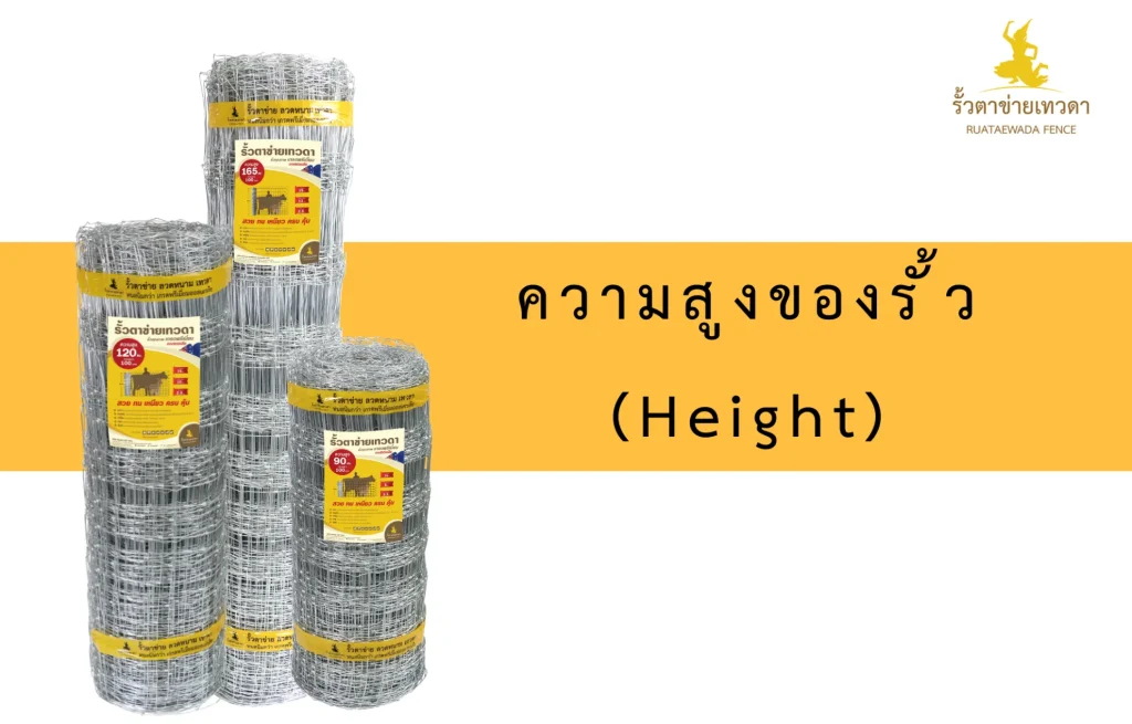 ม้วนรั้วตาข่ายถักปมหลายขนาด เปรียบเทียบความสูงของรั้ว ช่วยในการเลือกขนาดที่เหมาะสมและคำนวณราคาในปี 2025