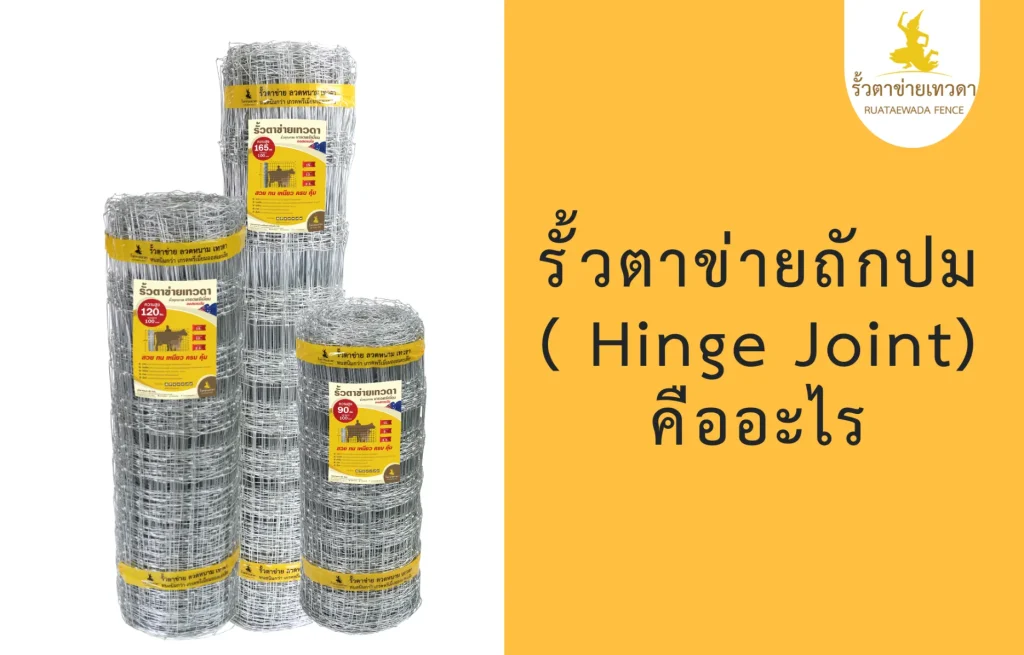 รั้วตาข่ายถักปมคืออะไร เหมาะสำหรับการใช้งานประเภทไหน เช็ครั้วตาข่ายถักปม ราคา