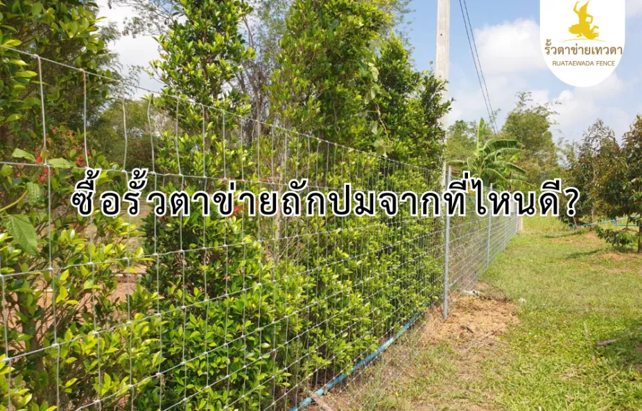 รั้วตาข่ายถักปมติดตั้งล้อมสวน ช่วยป้องกันสัตว์เลี้ยงและบุคคลภายนอก แสดงตัวอย่างสินค้าและแหล่งซื้อที่คุ้มค่าราคา ซื้อได้ที่ไหน