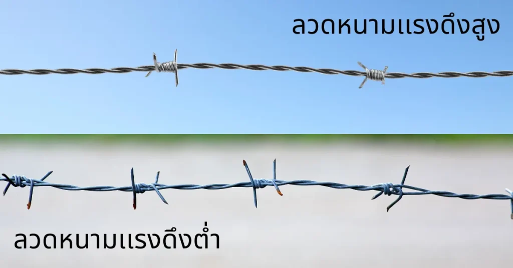 เปรียบเทียบลวดหนามแรงดึงสูง vs. ต่ำ เลือกแบบไหนคุ้มกว่า?
