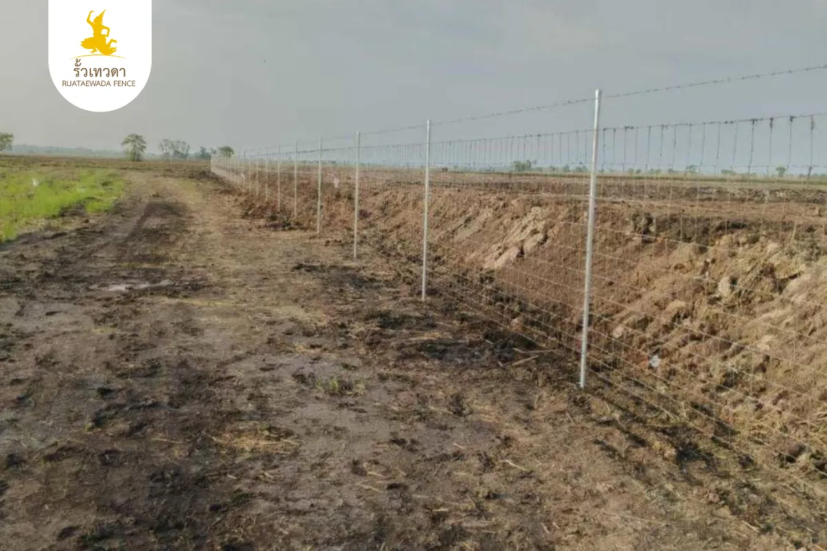 ล้อมพื้นที่ป้องกันคน พื้นที่ 400 เมตร จ.สุพรรณบุรี รั้วตาข่ายถักปมเทวดา 165 ซม. และลวดหนามเทวดา