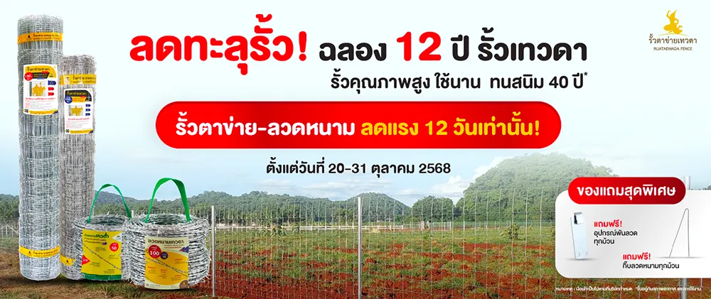 Banner Mobile_12ปี12วัน เทวดา_09-10-68_0