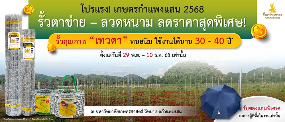 เทวดา-เกษตรกำแพงแสน68-Website-Mobile-19-11-68