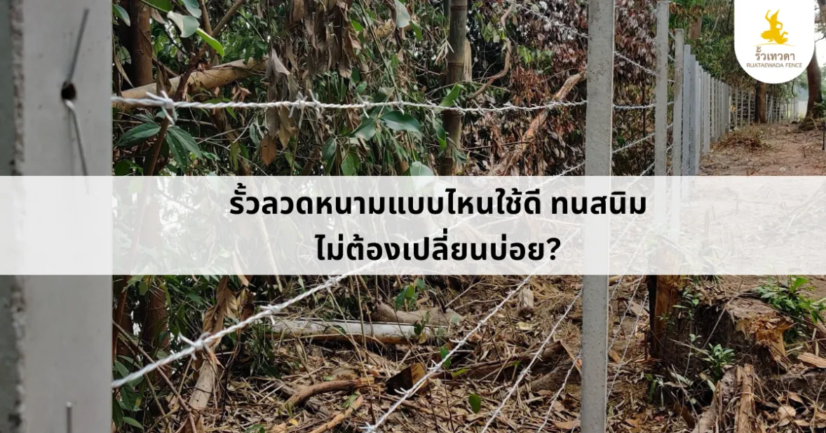 Read more about the article รั้วลวดหนามแบบไหนใช้ดี ทนสนิม ไม่ต้องเปลี่ยนบ่อย