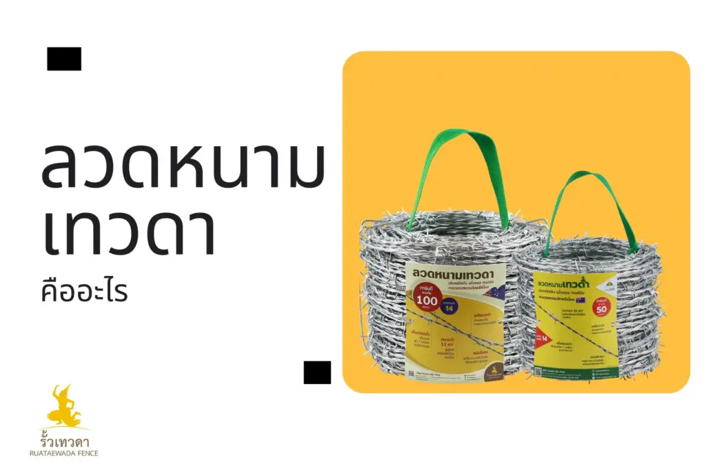 ลวดหนามเทวดาคืออะไร?