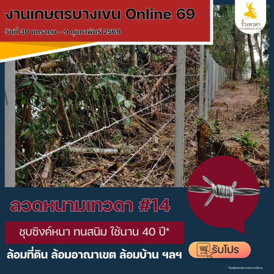 โปรโมชั่นเกษตรกำแพงเเสน68 ลวดหนาม