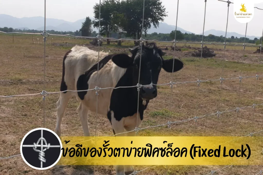 ข้อดีของรั้วตาข่ายฟิคซ์ล็อค (Fixed Lock)