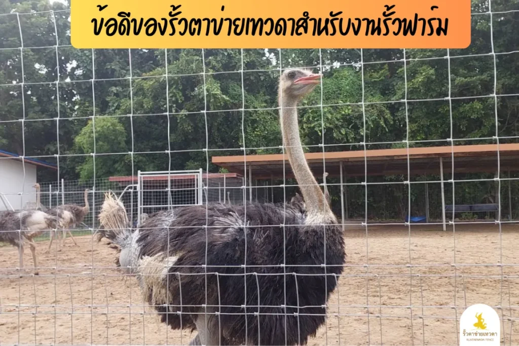 ข้อดีของรั้วตาข่ายเทวดาสำหรับงานรั้วฟาร์ม