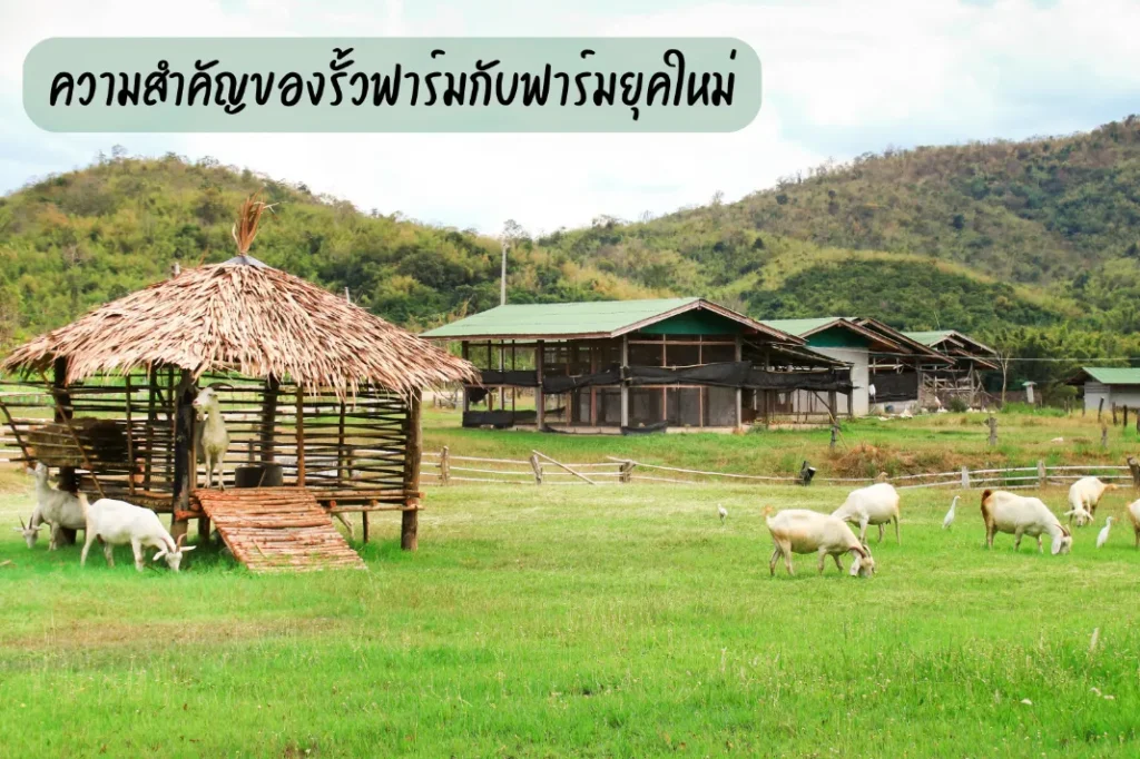 ความสำคัญของรั้วฟาร์มกับฟาร์มยุคใหม่