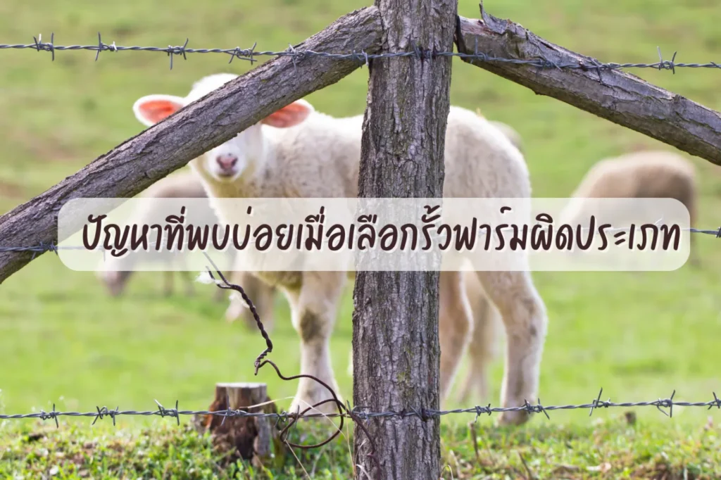 ปัญหาที่พบบ่อยเมื่อเลือกรั้วฟาร์มผิดประเภท