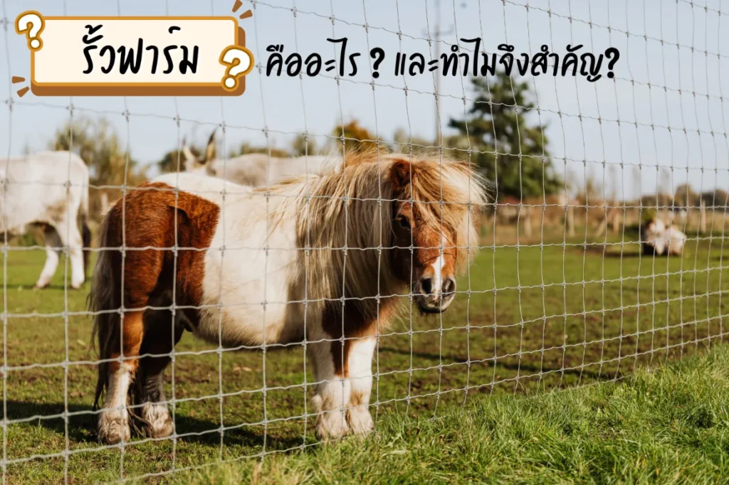 รั้วฟาร์มคืออะไร ทำไมจึงสำคัญ