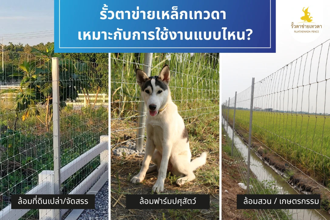 รั้วตาข่ายเหล็กเทวดา เหมาะกับการใช้งานแบบไหน