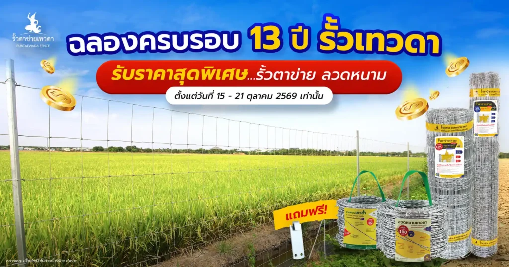 Website-13ปีเทวดา-หน้าปกโปร-1200x630-8-10-69