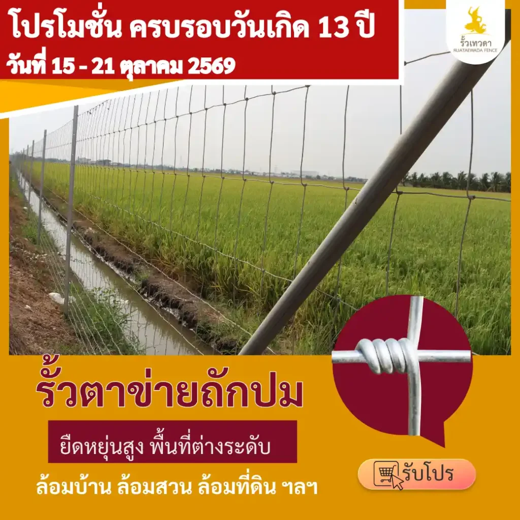 โปรโมชั่นวันเกิด 13 ปี รั้วตาข่ายถักปม
