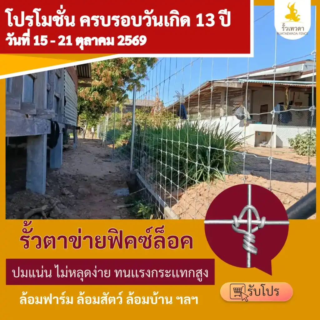 โปรโมชั่นวันเกิด 13 ปี รั้วตาข่ายฟิคซ์ล็อค