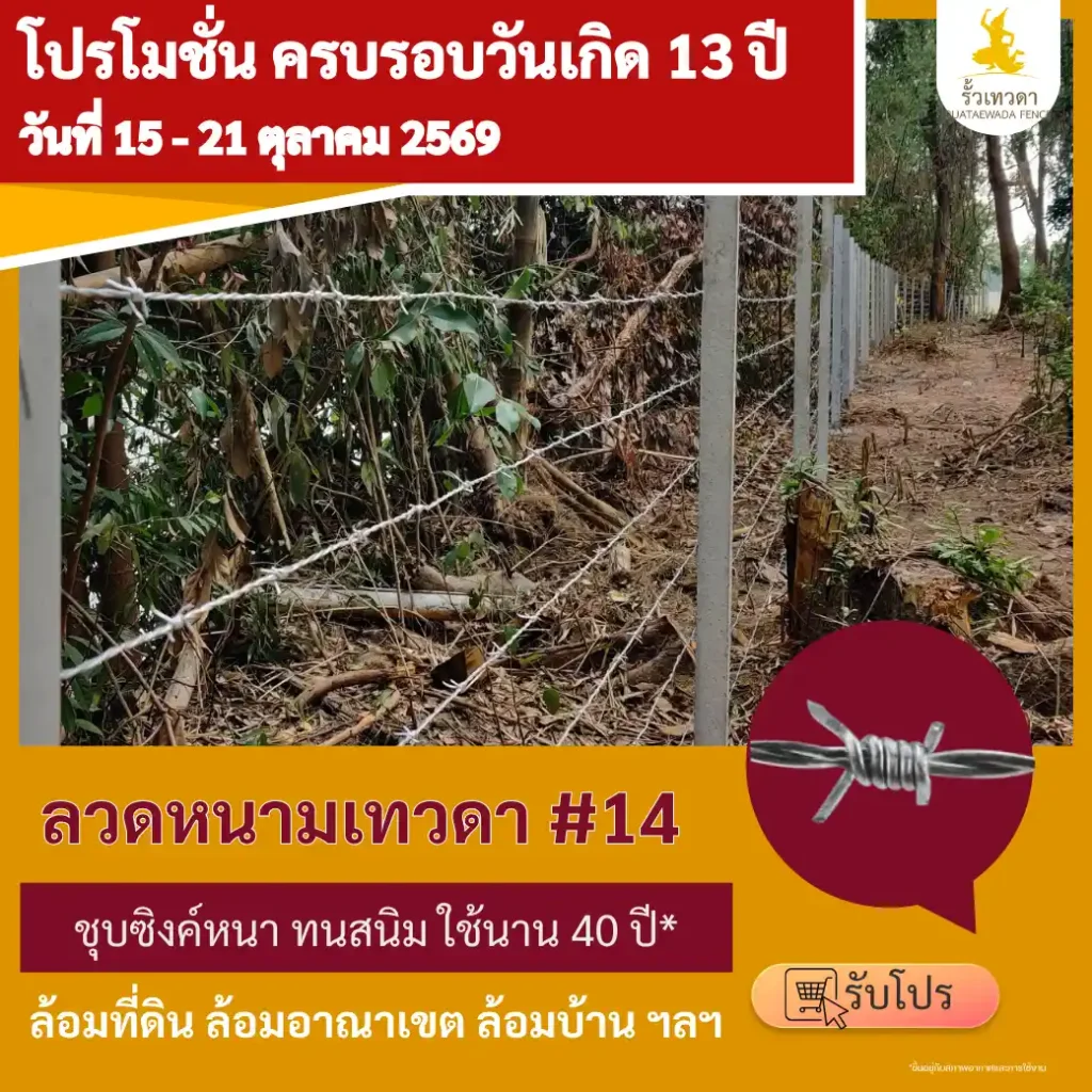 โปรโมชั่นวันเกิด 13 ปี ลวดหนาม